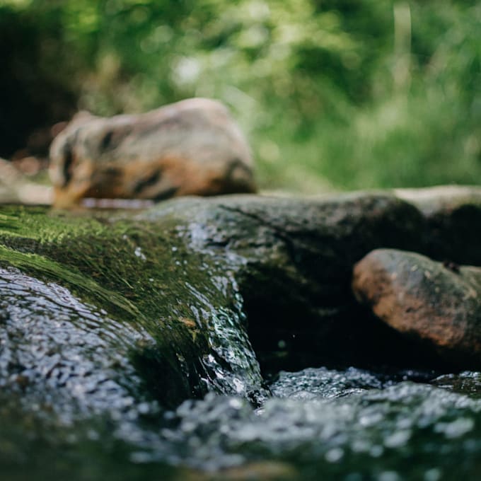guide you through meditation