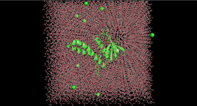 run gromacs molecular dynamics simulation for your protein