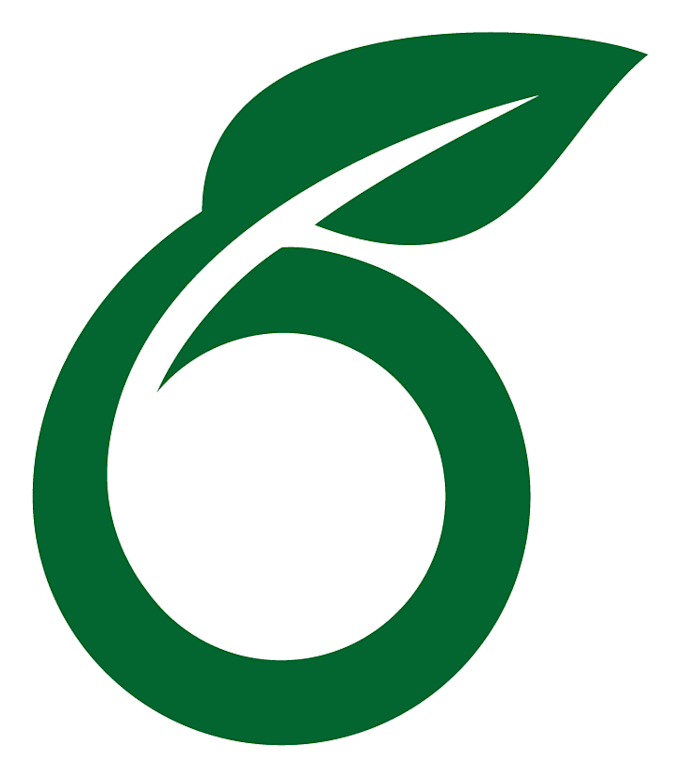 write and format technical documents in latex