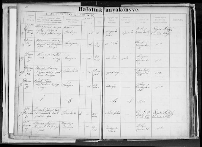 research your european immigrant ancestry
