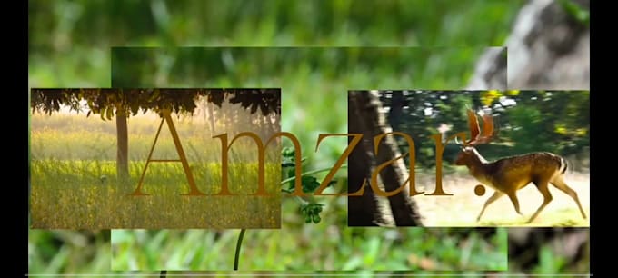 make aesthetic and rhythmic lyrics video edit