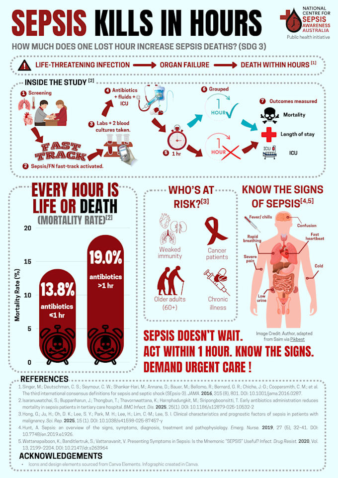 design a professional infographic, poster, or educational visual
