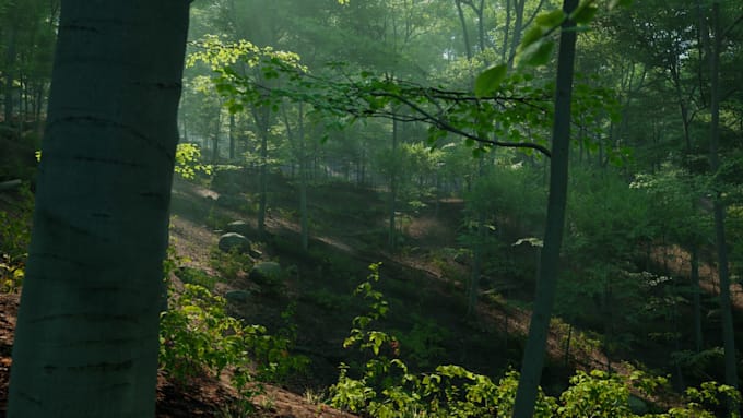 ue5 pcg procedural environment biome forest world generation blueprint system