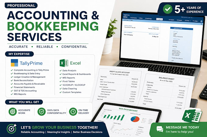 do a professional bookkeeping in tally and excel