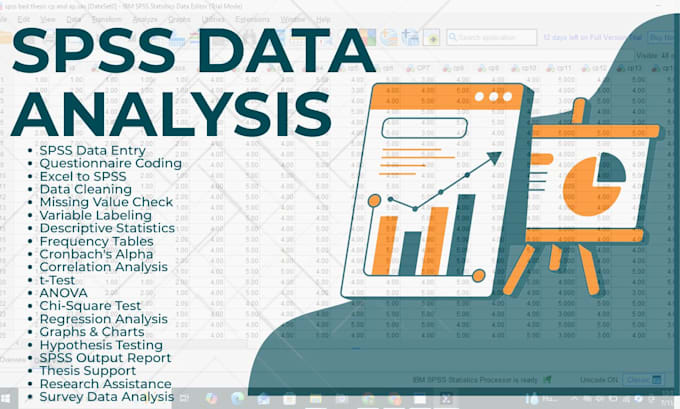 do spss data entry, coding, data cleaning, and statistical analysis