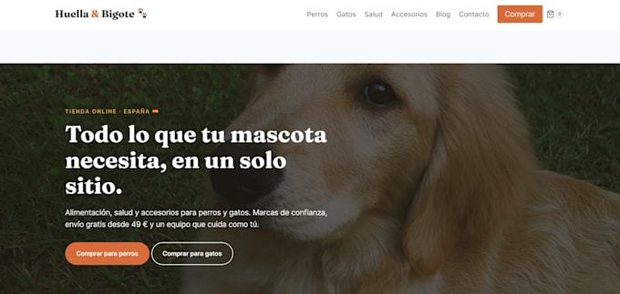 design and build your shopify store with ai