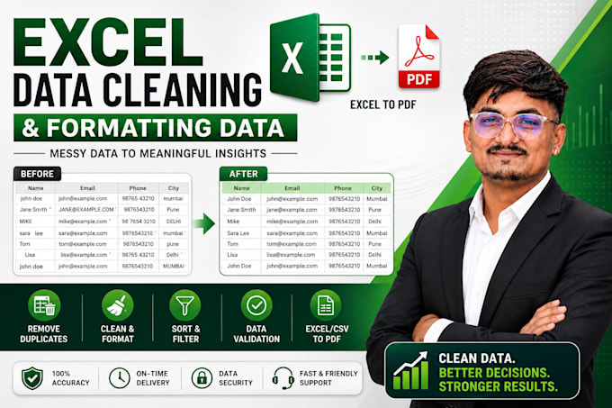 clean, format, organize, and fix your excel or CSV data professionally