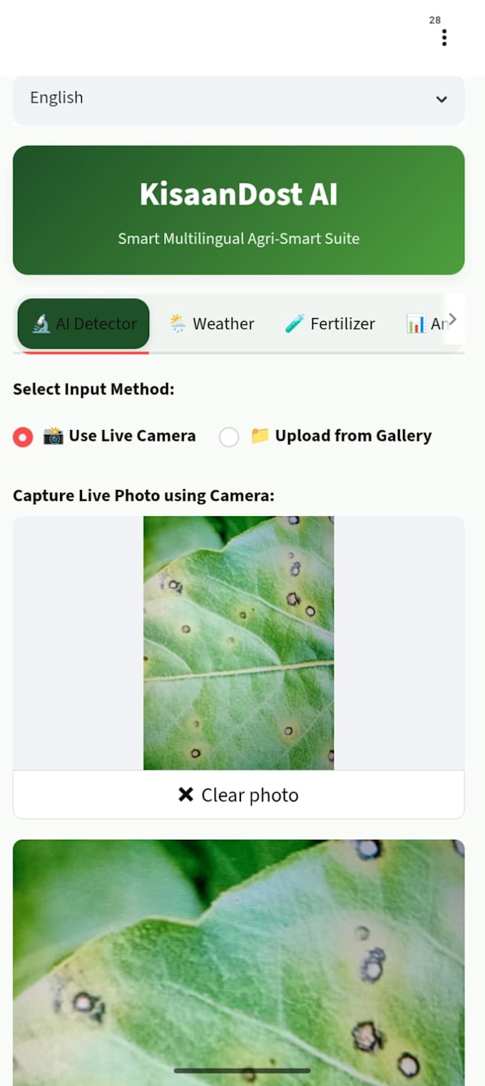 train an image classification model