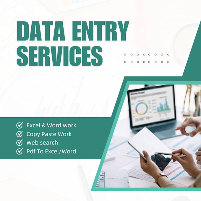 provide professional data entry and excel services