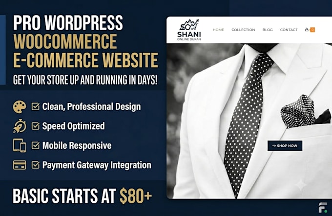 build a professional wordpress website