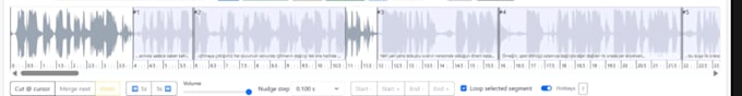 do audio segment and transcription