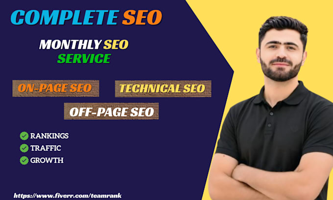do complete monthly SEO service for your website