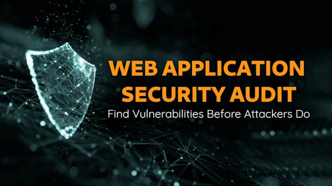 perform professional web application and API security audit