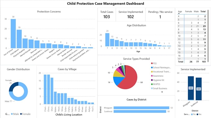 create a professional power bi dashboard