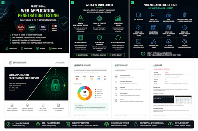 perform expert web application penetration testing
