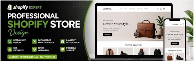 build a professional shopify dropshipping store
