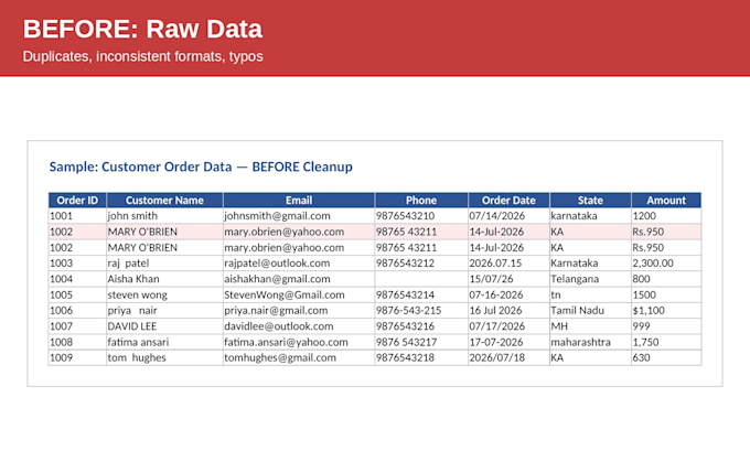 do accurate data entry and excel spreadsheet cleanup