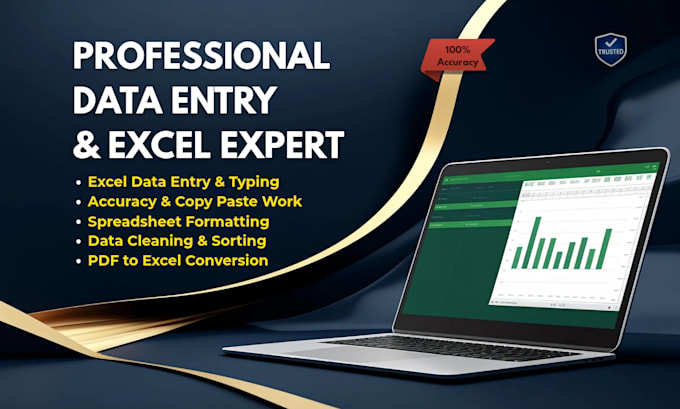do excel data cleaning, formatting, and ecommerce data entry