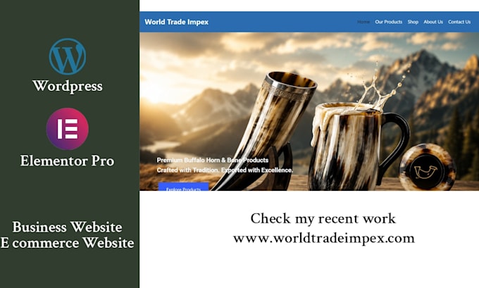 redesign wordpress ecommerce, business website