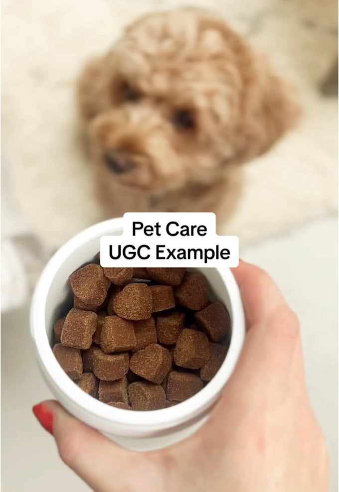 create authentic ugc pet videos for your pet brand