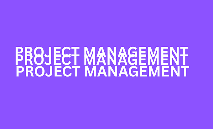 do project management for you