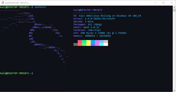 perform a website vulnerability assessment using owasp top 10 standards