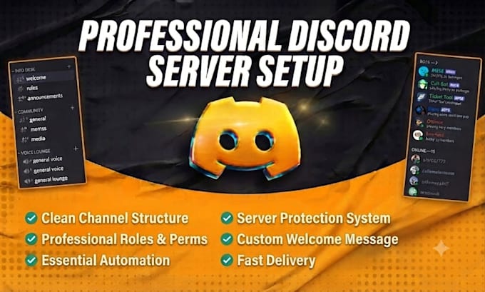 build a professional, discord server for your community