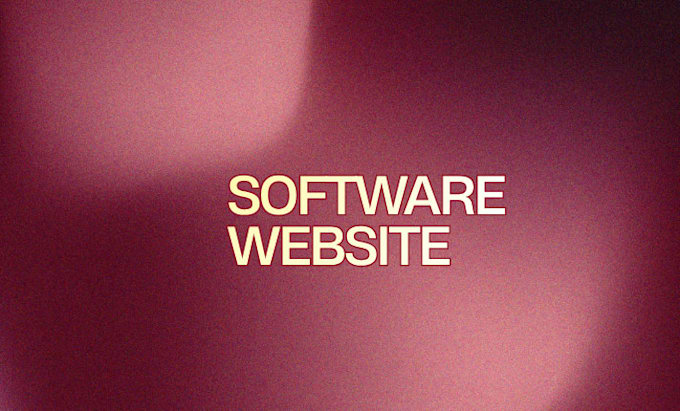 do business software development