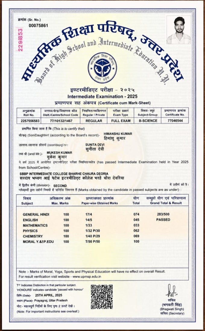 do professional data entry and copy paste typing work