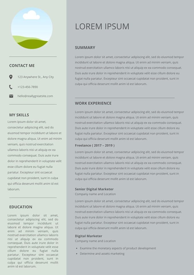 professionally format and design your resume or CV