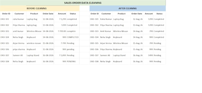 clean and standardize your excel data