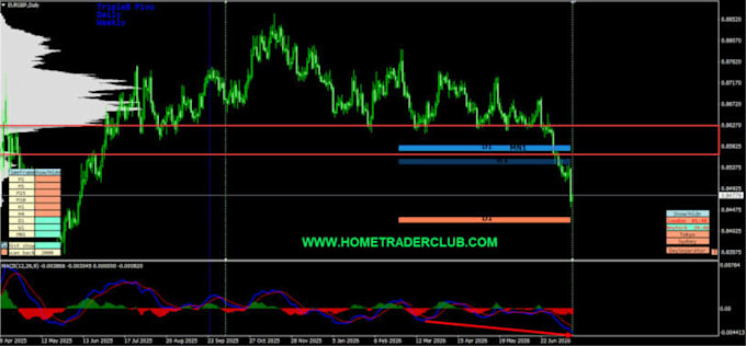 provide you forex day trading strategy lessons and mentor