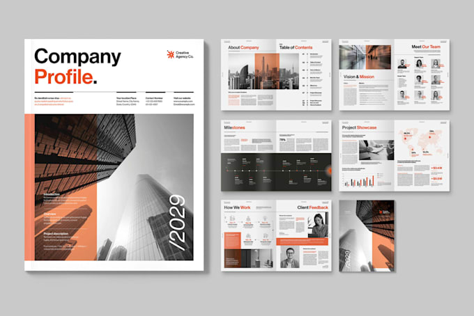 design a professional brochure, flyer and company profile