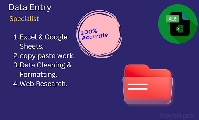 do professional excel and google sheets data entry work
