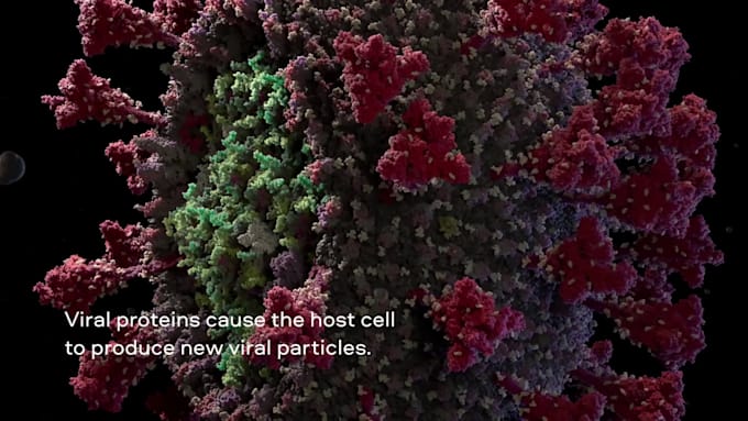 create 3d virus animation, virus structure, and viral infection mechanism video