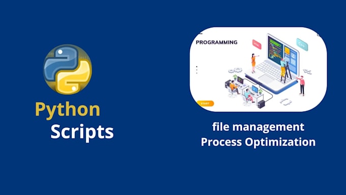 create custom python automation scripts and whatsapp bots