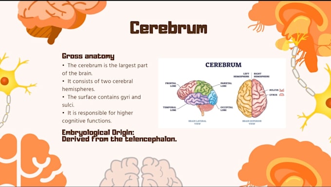 make professional medial presentations for both students and teachers