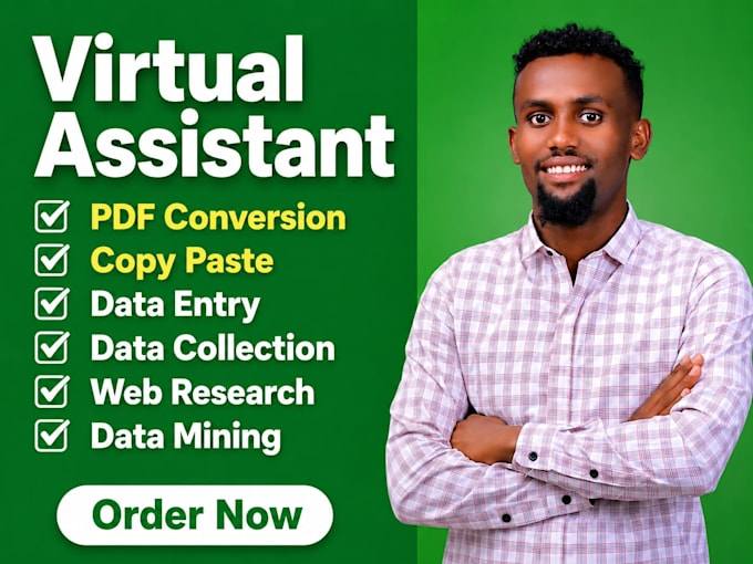 do accurate data entry, excel data entry, copy pest and pdf conversion