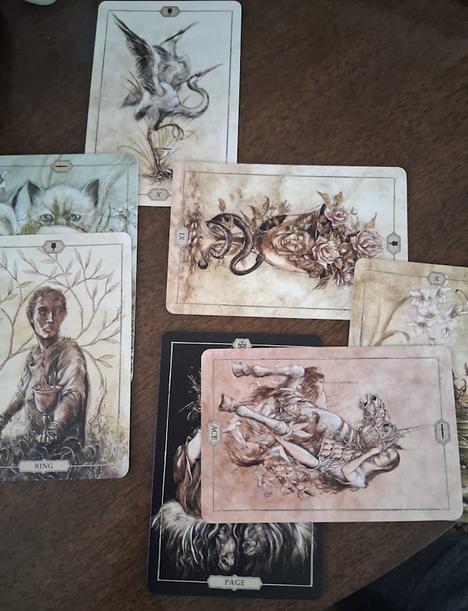 do a medium to large career tarot reading