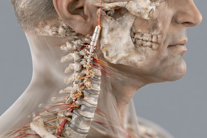 draw detailed medical illustrations