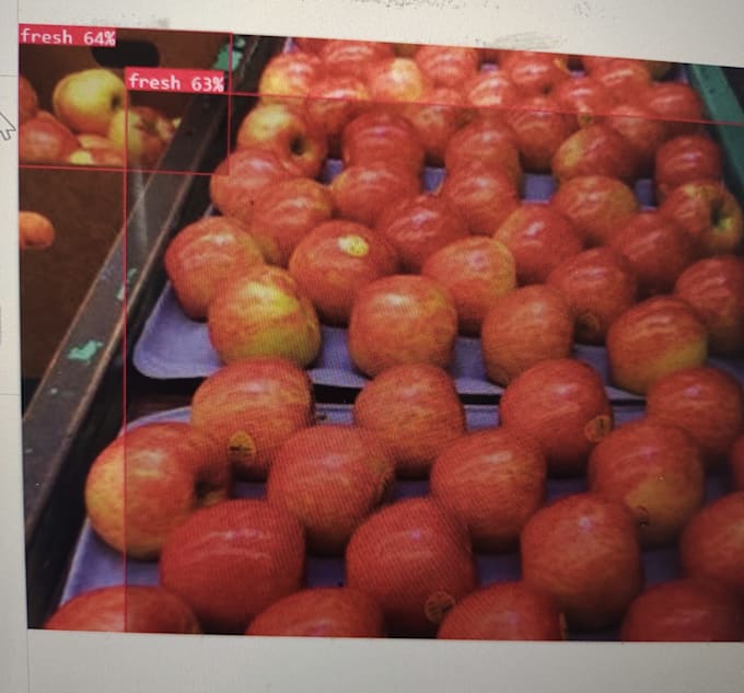 build custom yolo object detection and computer vision models