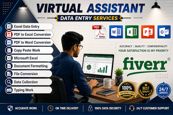provide accurate data entry and excel services