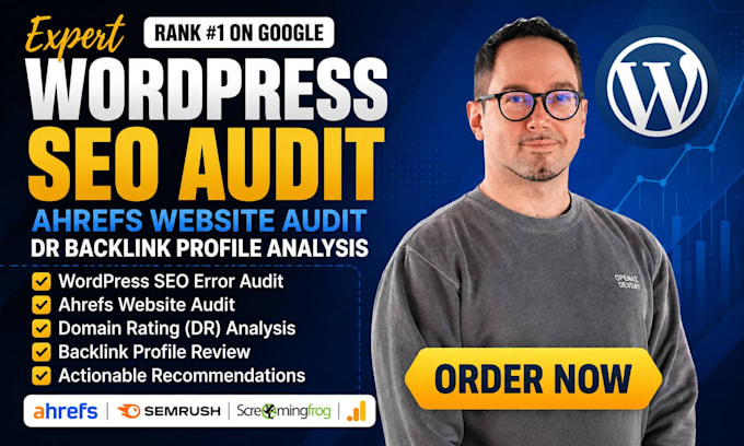 audit wordpress SEO errors, ahrefs website audit, dr backlink profile analysis