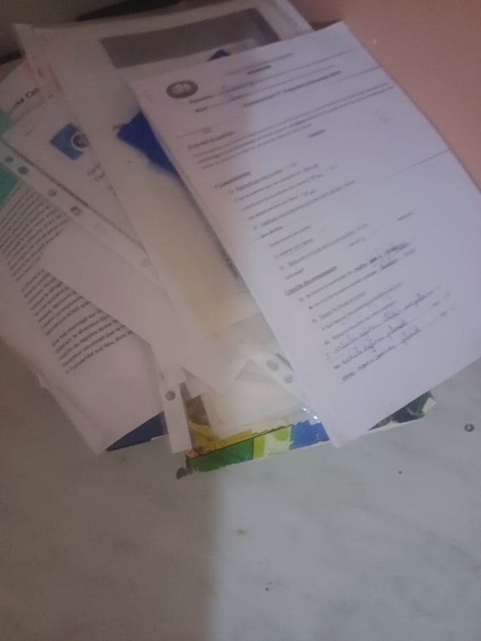 academic tutor  french english writer