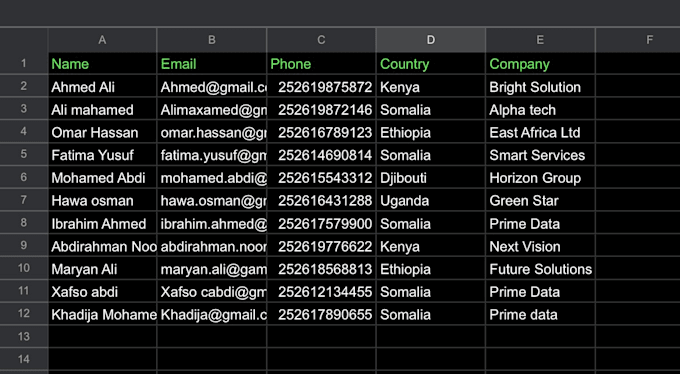 accurate data entry excel and google sheets