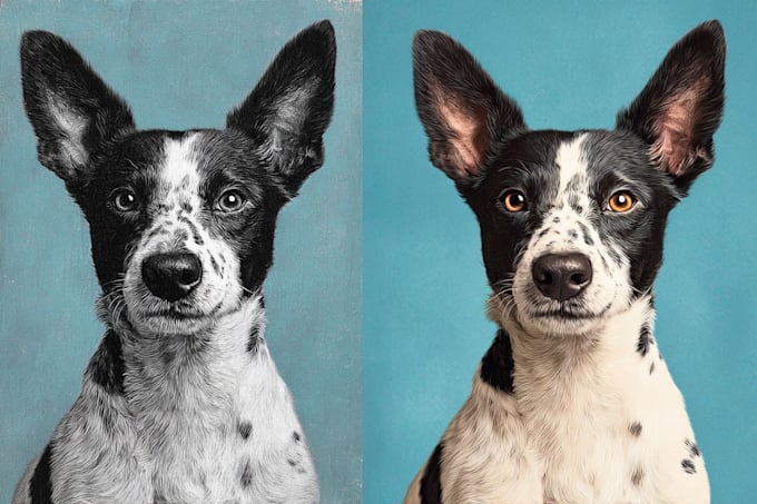 illustrate a disney pet portrait