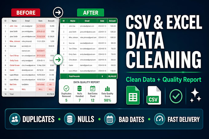 clean your CSV or excel data and deliver a quality report