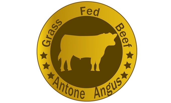 design specialist modern antone angus logo
