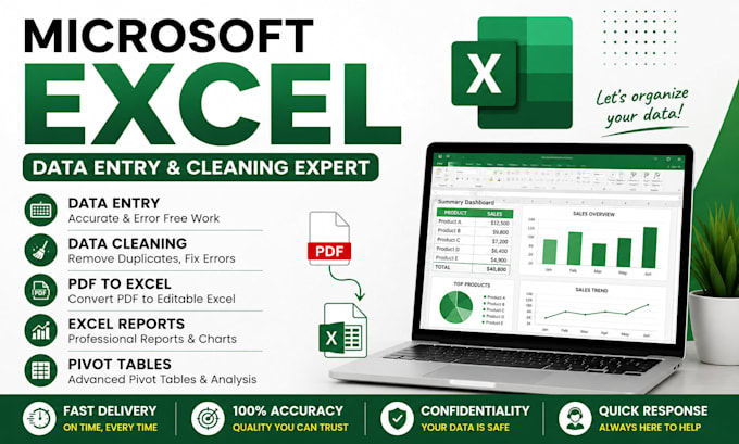 microsoft excel data entry, cleaning, formatting and reports